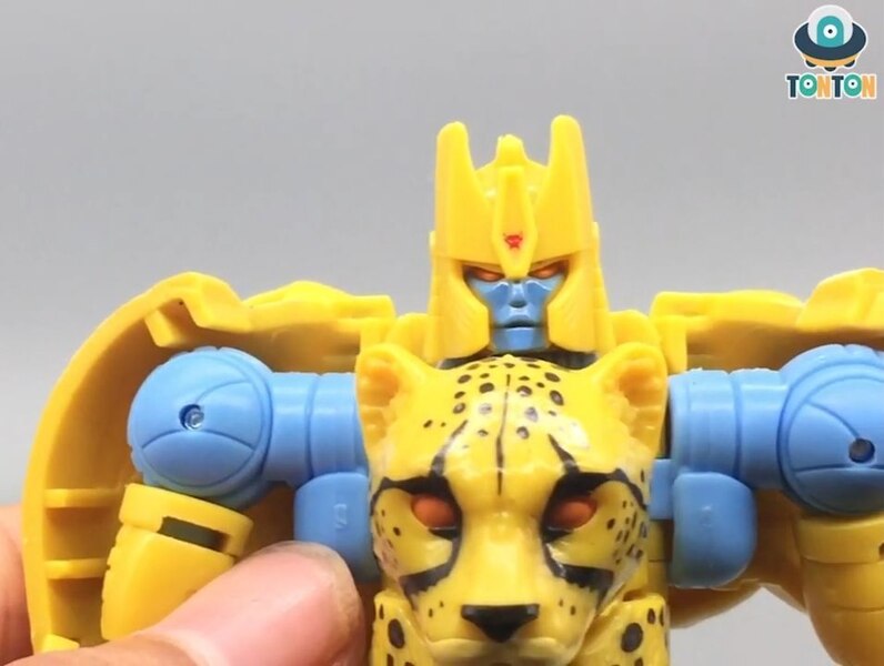 custom kingdom cheetor